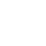 values_icon