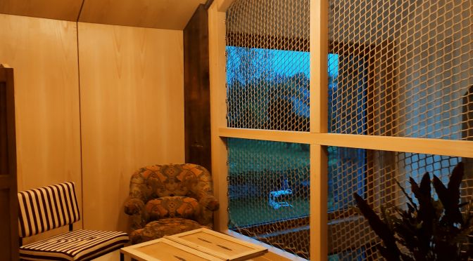 Petit salon oiseliere - Copie